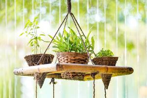 The little tree are planted in the wood wicker and lay down on the rope hanging with small line waterfall background behind. photo