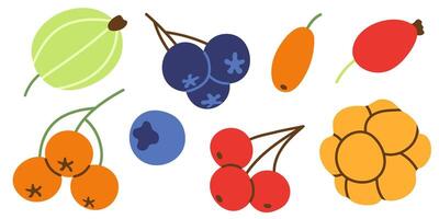 Berries set isolated on white. Colorful hand drawn decorative elements. Autumn berries in simple flat style. vector