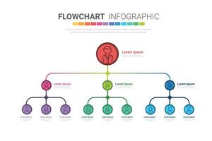 Business hierarchy organogram chart infographics. Corporate organizational structure graphic elements. vector