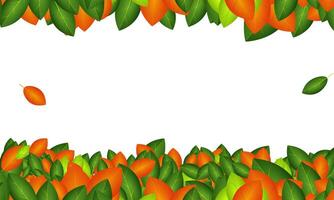 Nature theme fresh leaves frame background with white copy space vector