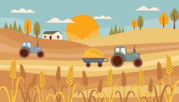 Autumn scenery background. Autumn nature banner. Background of autumn landscape. Agricultural field with wheat. vector