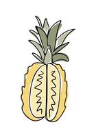 Line art drawing of cut pineapple with leaves in boho style. Botanical single line colored retro drawing of fruit. Contour line outline composition isolated on white background. vector