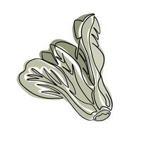 Old fashioned outline drawing of pak choi in boho style. Botanical single line retro drawing of green vegetable. Contour line outline composition isolated on white background. vector
