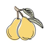 Line art drawing of pears with branch and leaves in boho style. Botanical single line colored retro drawing of vegetable. Contour line outline composition isolated on white background vector