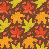Autumn seamless pattern with colored maple leaves and red berries. Hand drawn flat style. Simple botanical illustration on dark background. Perfect for textile and wrapping. Dark theme vector