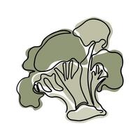 Vintage outline drawing of broccoli in boho style. Botanical single line retro drawing of vegetable. Contour line outline composition isolated on white background. vector