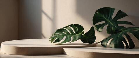 Geometric podium with monstera leaf and harsh shadows Minimal display for cosmetic and product presentation. photo