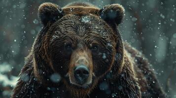 A large brown bear standing in the snow during a storm. photo