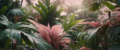 Soft pink tropical leaves create a gentle and inviting backdrop with a central focus area for copy space,. photo