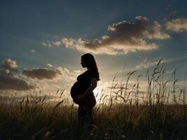 Silhouette of a pregnant lady standing with her partner in a field of long grass. photo