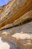 Weathering and destruction of shells of extinct mollusks in the Crimea photo