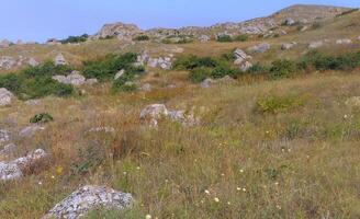 Shell stones and rocks on the territory of Kazantip, steppe landscape with specific flora and fauna, eastern Crimea photo
