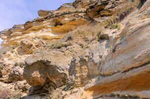 Weathering and destruction of shells of extinct mollusks in the Crimea photo