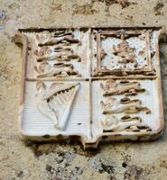 GOZO, MALTA - SEPTEMBER 14, 2012 medieval coats of arms of knights made of marble on the walls of the fortress on the island of Gozo, Malta photo
