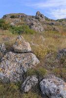 Shell stones and rocks on the territory of Kazantip, steppe landscape with specific flora and fauna, eastern Crimea photo