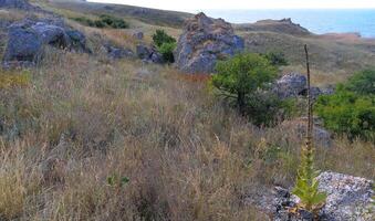 Shell stones and rocks on the territory of Kazantip, steppe landscape with specific flora and fauna, eastern Crimea photo