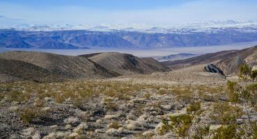 Landscape of a valley overgrown with desert vegetation and cacti in the rock desert in California, mountains in the background photo