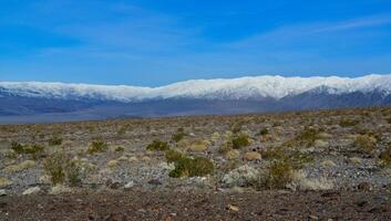 Landscape of a valley overgrown with desert vegetation and cacti in the rock desert in California, mountains in the background photo
