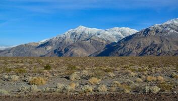 Landscape of a valley overgrown with desert vegetation and cacti in the rock desert in California, mountains in the background photo