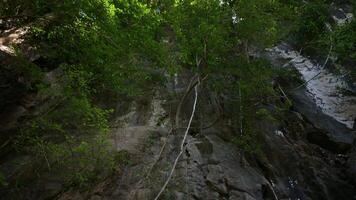 Moving forward and tilting up camera shot of rocky cliff covered by green plants on the mountain. Nature exploring in sunny day. video