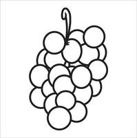 Grape Fruit Sketch vector
