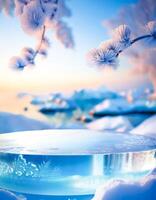 Frozen Branch with Ice Landscape and Clear Acrylic Platform photo