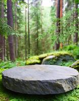 Stone Platform in a Forest photo
