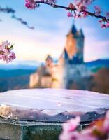 Empty Tabletop with Blurred Castle and Cherry Blossoms in Background photo