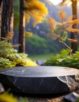 Black Stone Platform in a Lush Forest photo