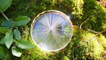 Crystal Disk on Mossy Ground photo