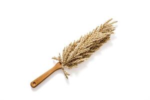 Dried wheat stalks with wooden handle isolated on white background photo