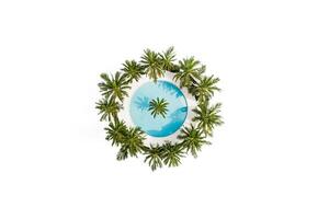 Aerial view of a round swimming pool surrounded by palm trees photo