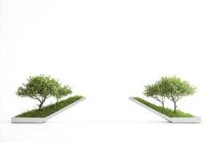 Two Small Trees in Geometric Planters on White Background photo