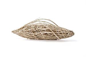 Dry Twigs Basket on White Background photo