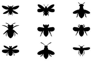 Simple insect illustration design set vector