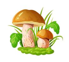 Illustration of Mushrooms in Grass vector