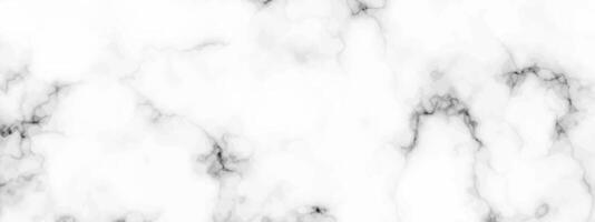 White marble texture background vector