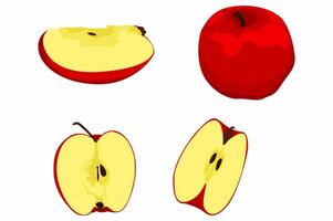 Set Of A Slice of Fresh Red Apple vector