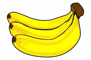 Fresh Ripe Banana Fruit vector