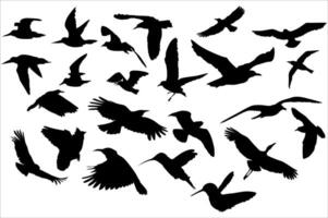 Set Of Silhouette of a Bird in Flight for Design Decoration vector