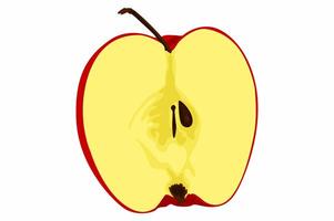 A Slice of Fresh Red Apple vector