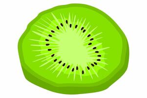 A Slice of Fresh Kiwi Fruit vector