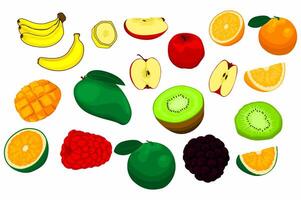 Set Of Various Types of Fresh Fruit vector