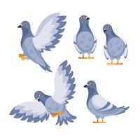 Set of pigeons standing and flying with spread wings vector