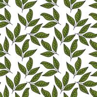 leaf seamless pattern. coffee leaf background. Abstract coffee leaves background. leaf pattern vintage. vector