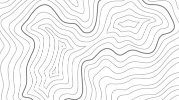 contour background. topographic contour background. Topographic map contour background. abstract wavy background. vector