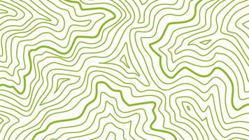 topographic contour background. contour lines background. Topographic map contour background. abstract wavy background. vector