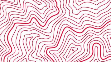 topographic contour background. contour lines background. Topographic map contour background. abstract wavy background. vector