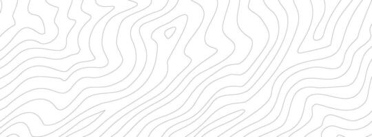 abstract wavy background. topographic contour background. contour lines background. Topographic map contour background. vector