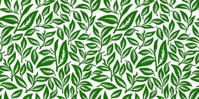 tea leaves pattern background. green leaves pattern background. Green tea leaf seamless pattern. seamless patterns with green leaves of tea. vector